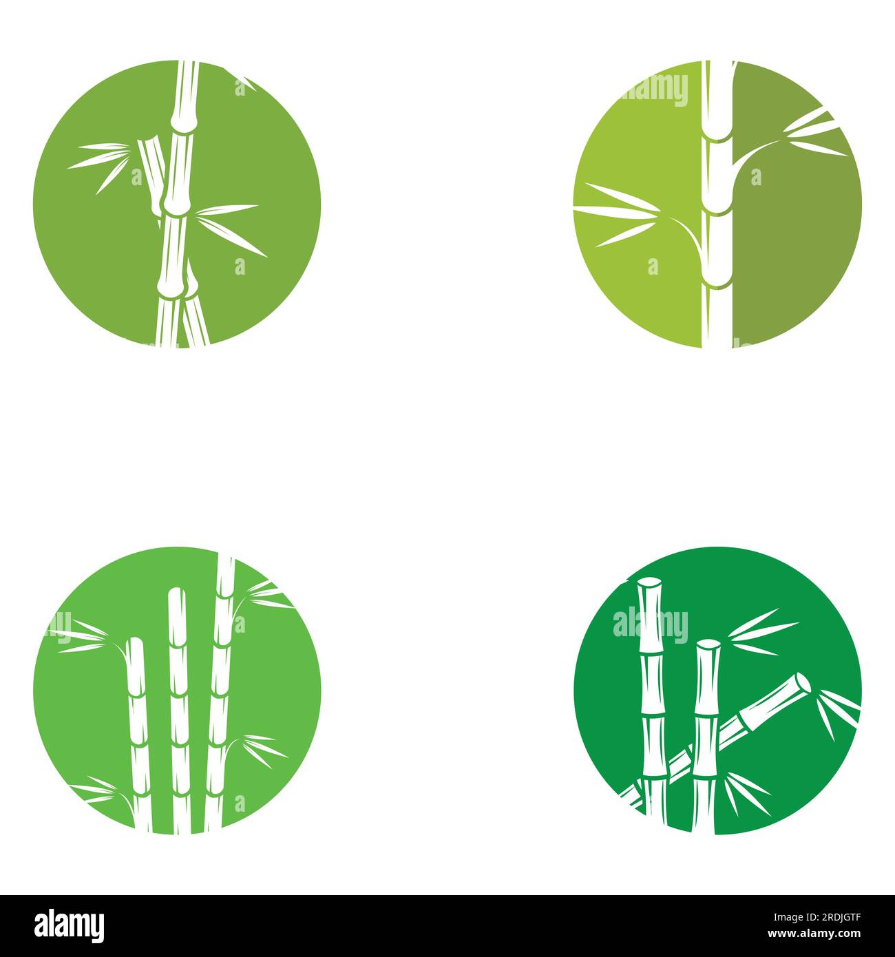 Logo d'une plante de bambou ou d'un type de plante creuse. Utilisation d'une conception de concept vectoriel moderne Illustration de Vecteur