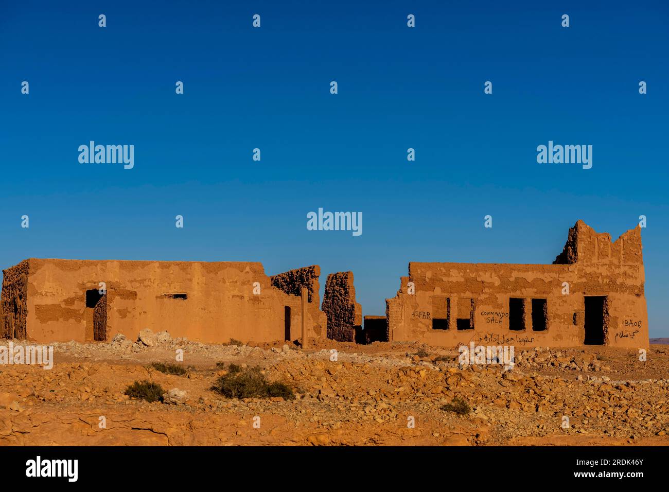 Village traditionnel dans l'oasis de la vallée de Ziz près d'Errachidia, Maroc Banque D'Images