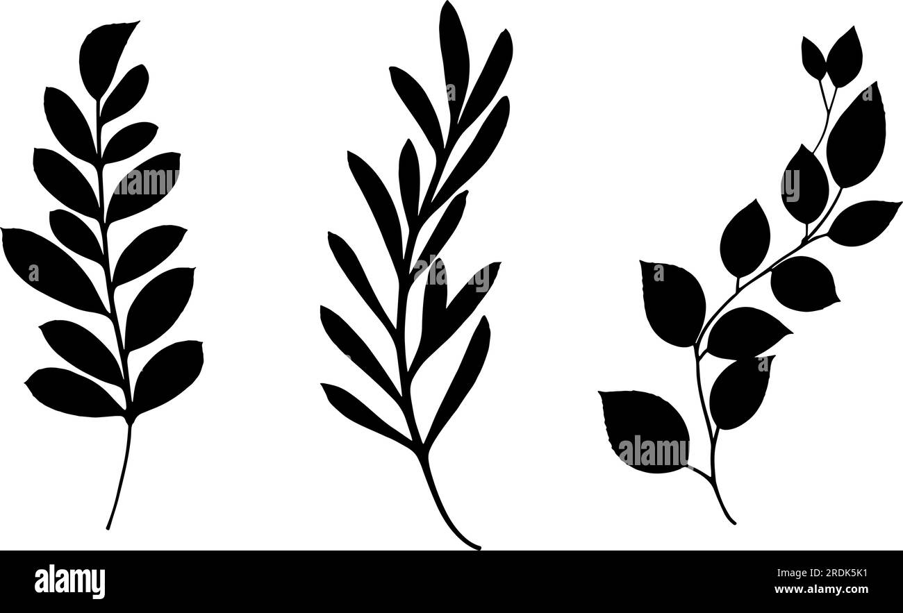 Ensemble de brindilles avec silhouette de feuilles. Illustration vectorielle Illustration de Vecteur