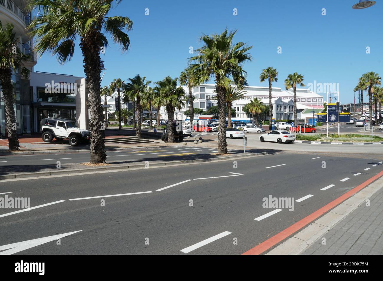 Route principale pour les voitures avec des palmiers et cercle de circulation près du front de mer à Cape Town. Banque D'Images