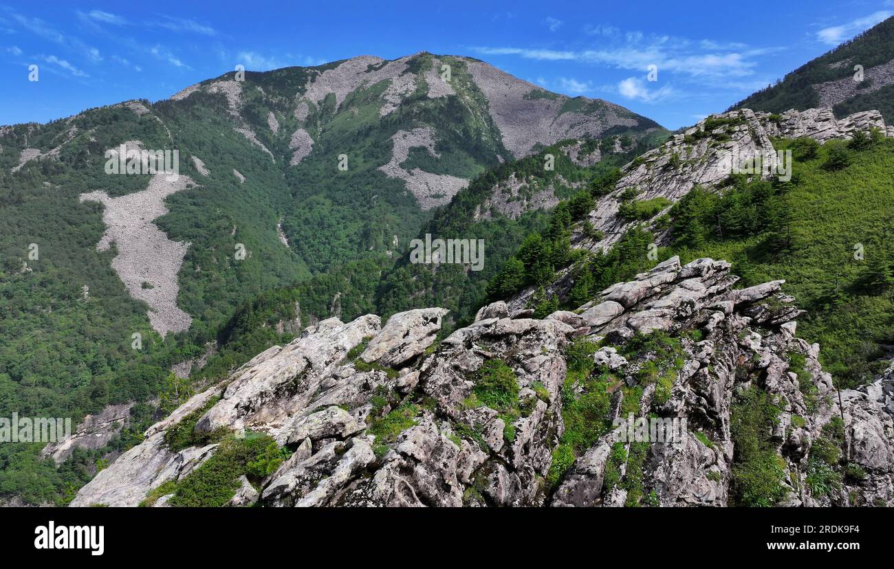 Xi'an. 21 juillet 2023. Cette photo aérienne prise le 21 juillet 2023 montre le paysage du parc forestier national de Zhuque à Xi'an, dans la province du Shaanxi, au nord-ouest de la Chine. Le parc, situé dans le cours supérieur de la rivière Laohe est et dans le nord des montagnes Qinling, couvre une superficie de 2 621 hectares, et son point culminant Bingjing pic a une altitude de 3 015 mètres. Des paysages étonnants tels que la forêt vierge, les restes de glaciers et la mer de nuages peuvent être vus le long de la route vers le sommet. Crédit : Liu Xiao/Xinhua/Alamy Live News Banque D'Images