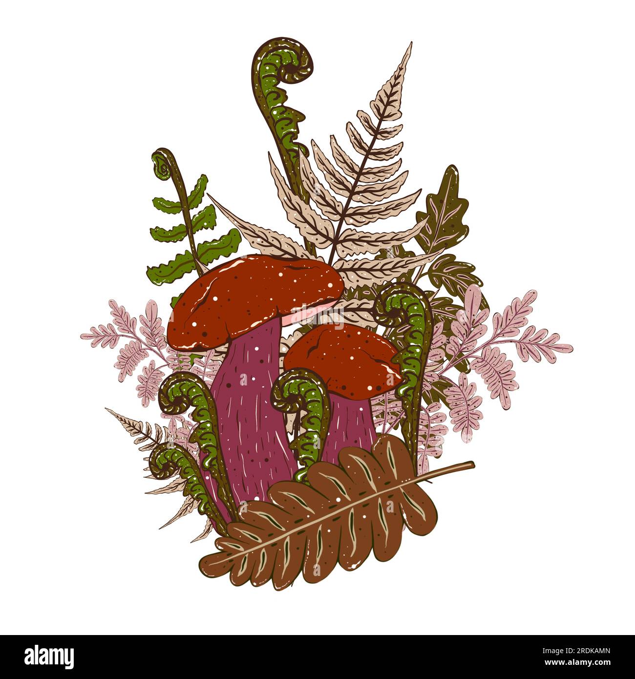 Composition de champignons toxiques et de feuilles de fougères. Illustration mystique dans le style de bande dessinée Banque D'Images