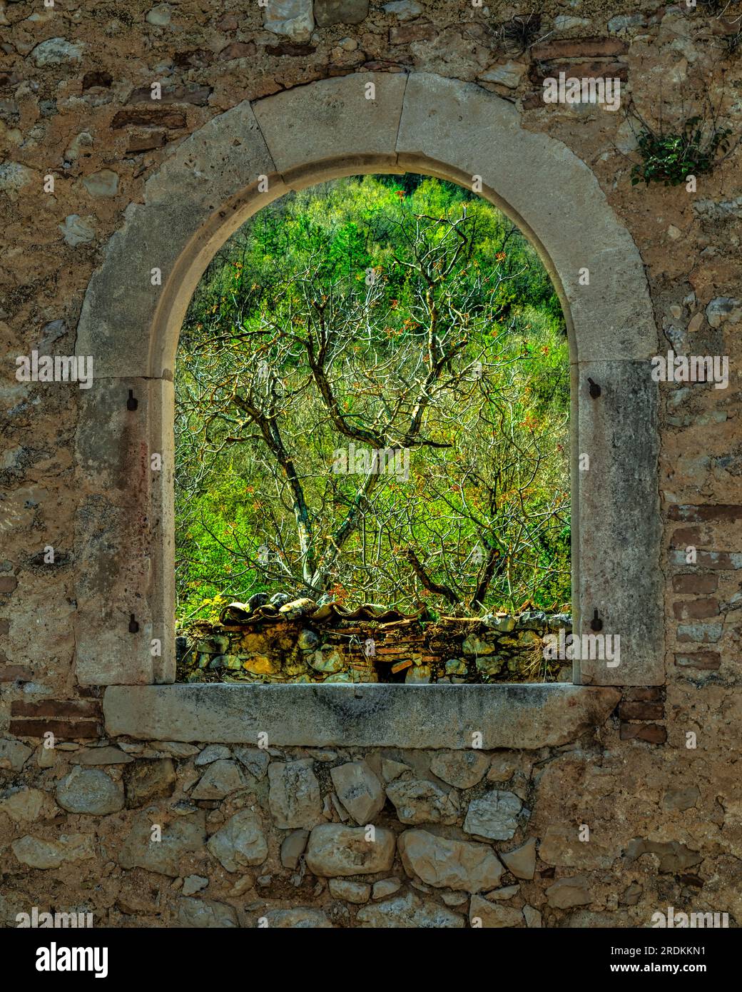 contrada san Alberto, vestiges d'un bâtiment ancien avec la fenêtre ouverte sur la nature environnante Banque D'Images contrada san Alberto, vestiges d'un bâtiment ancien avec la fenêtre ouverte sur la nature environnante Banque D'Images