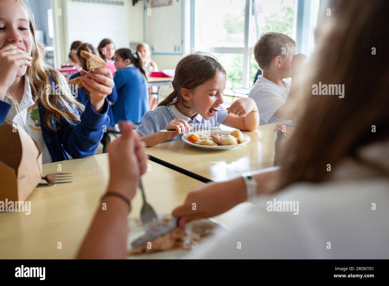 Filles mangeant un déjeuner scolaire dans une école primaire de Worcestershire, Royaume-Uni. Banque D'Images