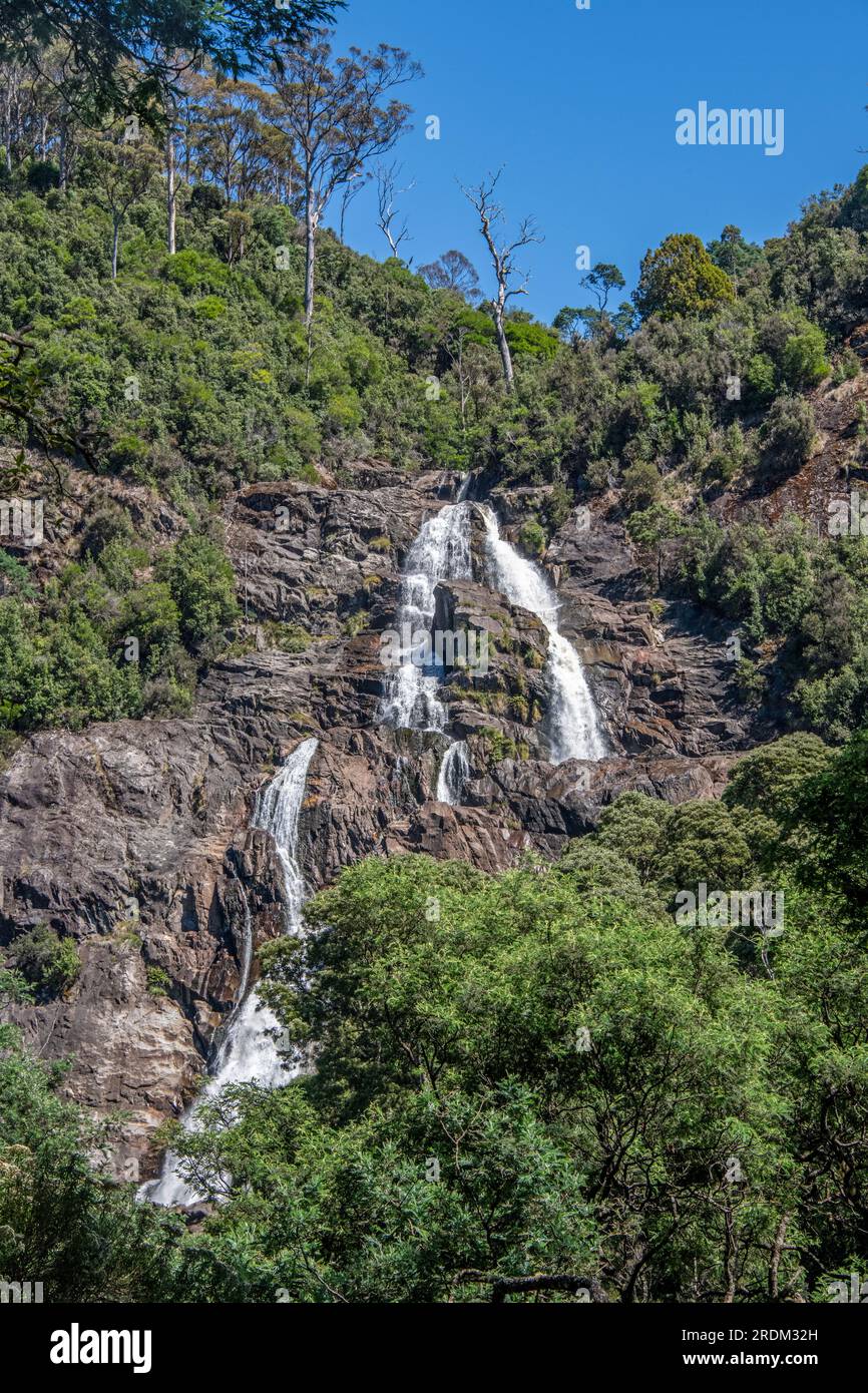 St Columba Falls Côte est Tasmanie Australie 1 Banque D'Images