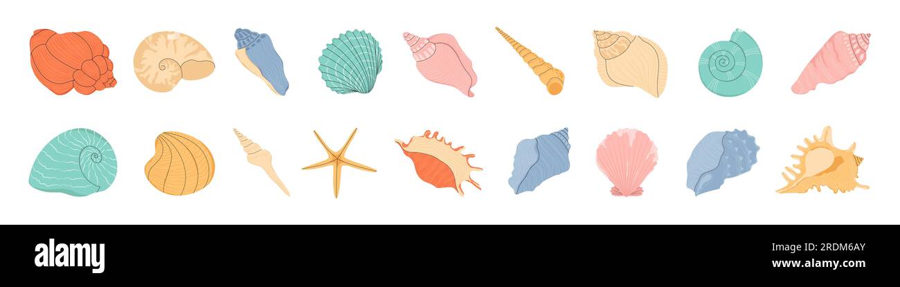 Seashell. Coquillages, huîtres et palourdes isolés. Illustration de Vecteur