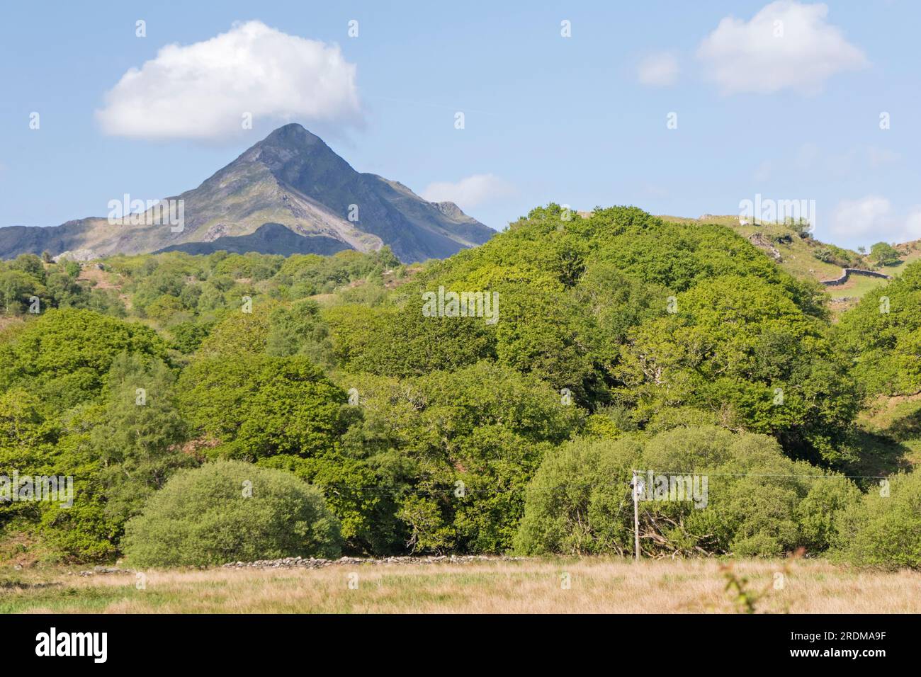 Montagne Cnicht, Snowdonia 'eriri' National Park, Nord du pays de Galles, Royaume-Uni Banque D'Images