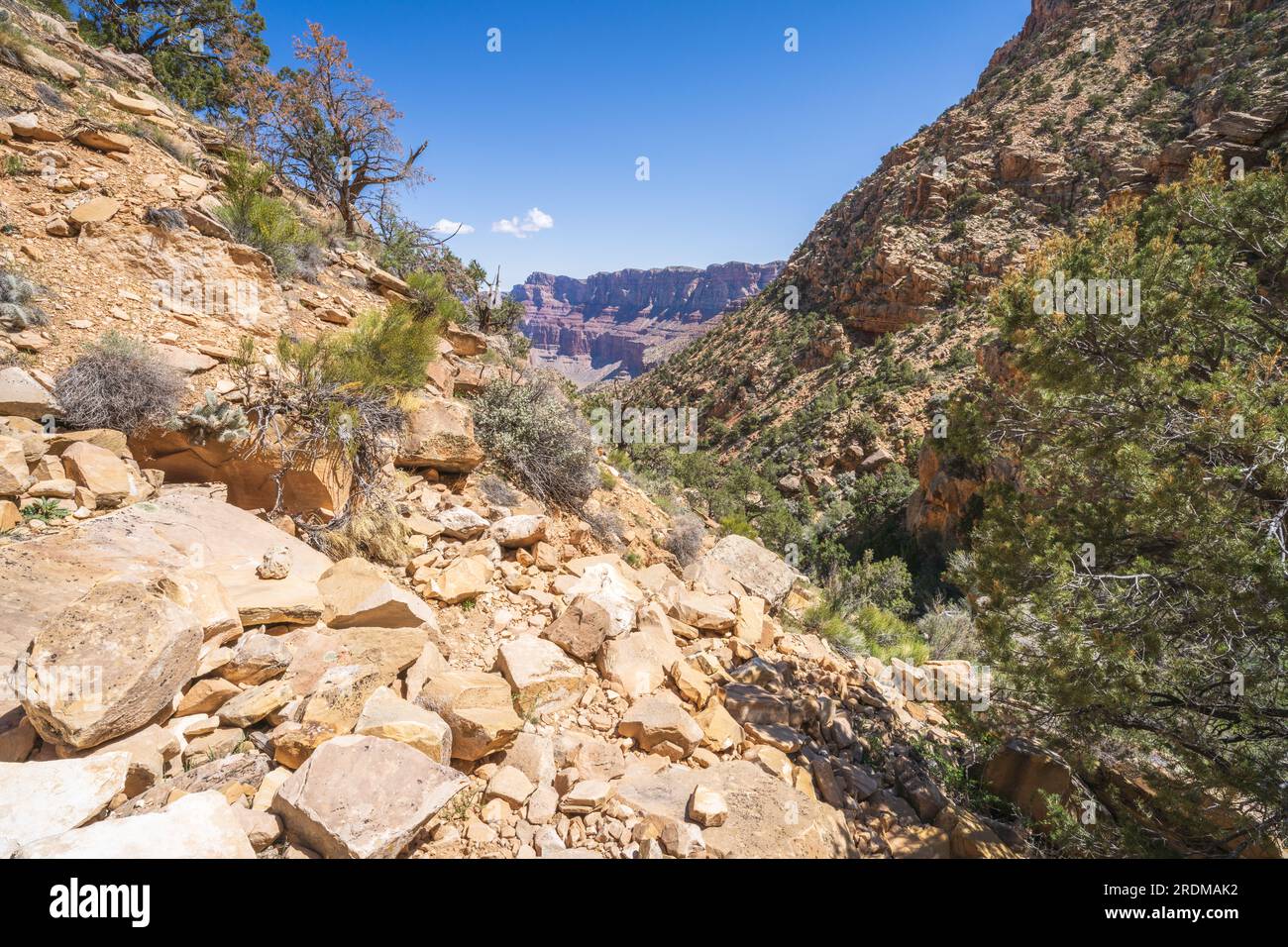 Randonnée sur le sentier des tanneurs dans le parc national du Grand canyon, arizona, états-unis Banque D'Images