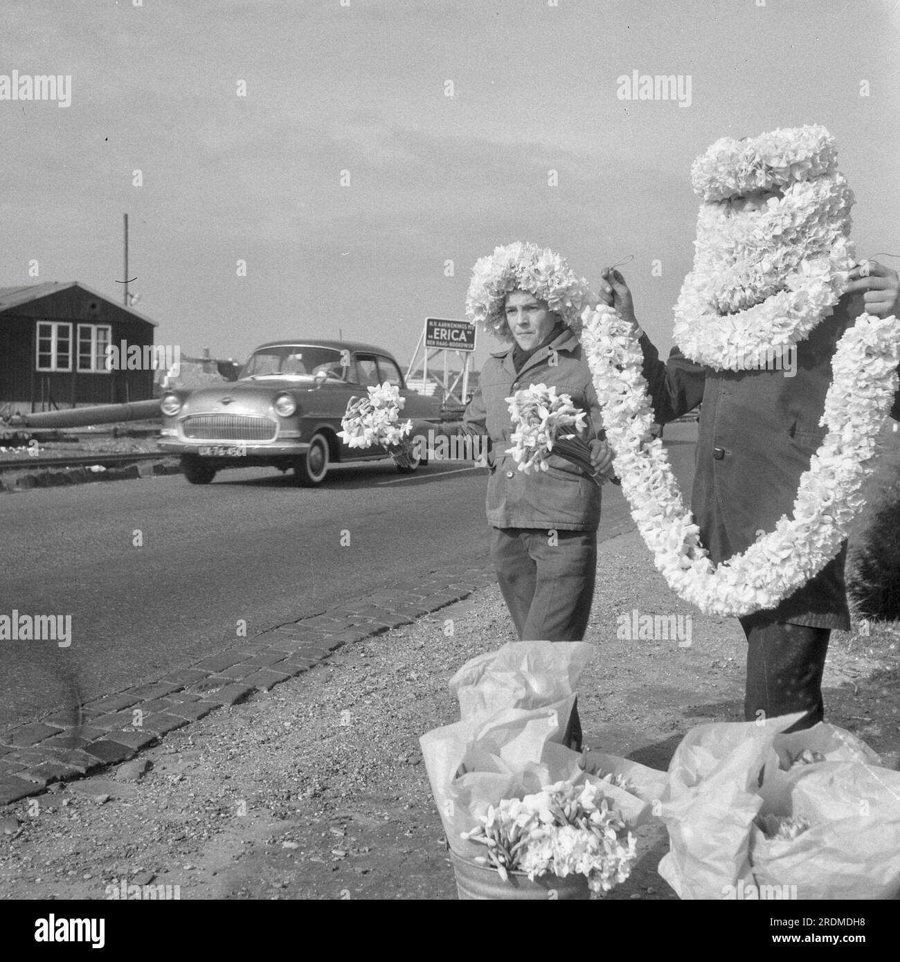Jack de Nijs - Vendeur routier de guirlandes florales dans la région bulbe de Hollande - 1961 Banque D'Images
