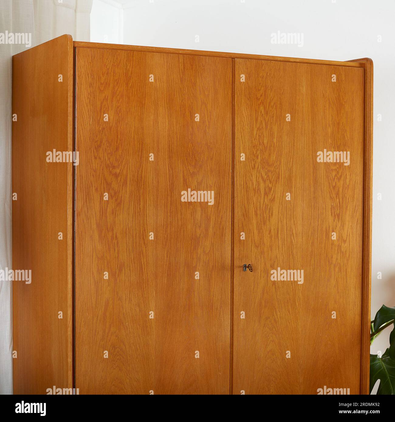 Armoire en bois de chêne vintage des années 1960. Mobilier moderne du milieu du siècle. Photographie de produit avec de grandes plantes d'intérieur. Banque D'Images