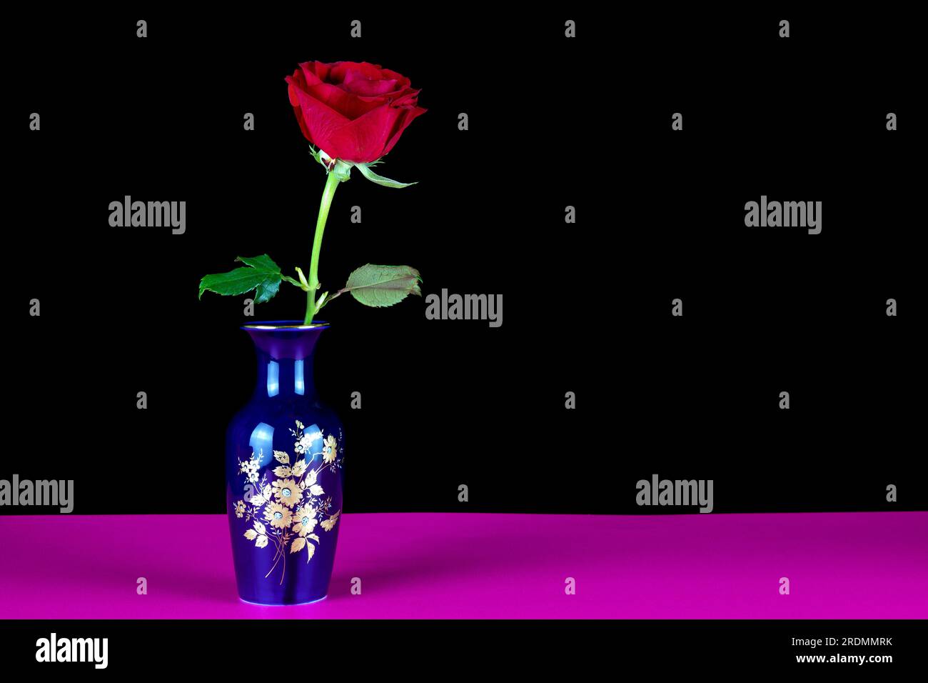 Vase fleuri bleu décoré avec rose rouge simple sur fond noir et base rose Banque D'Images