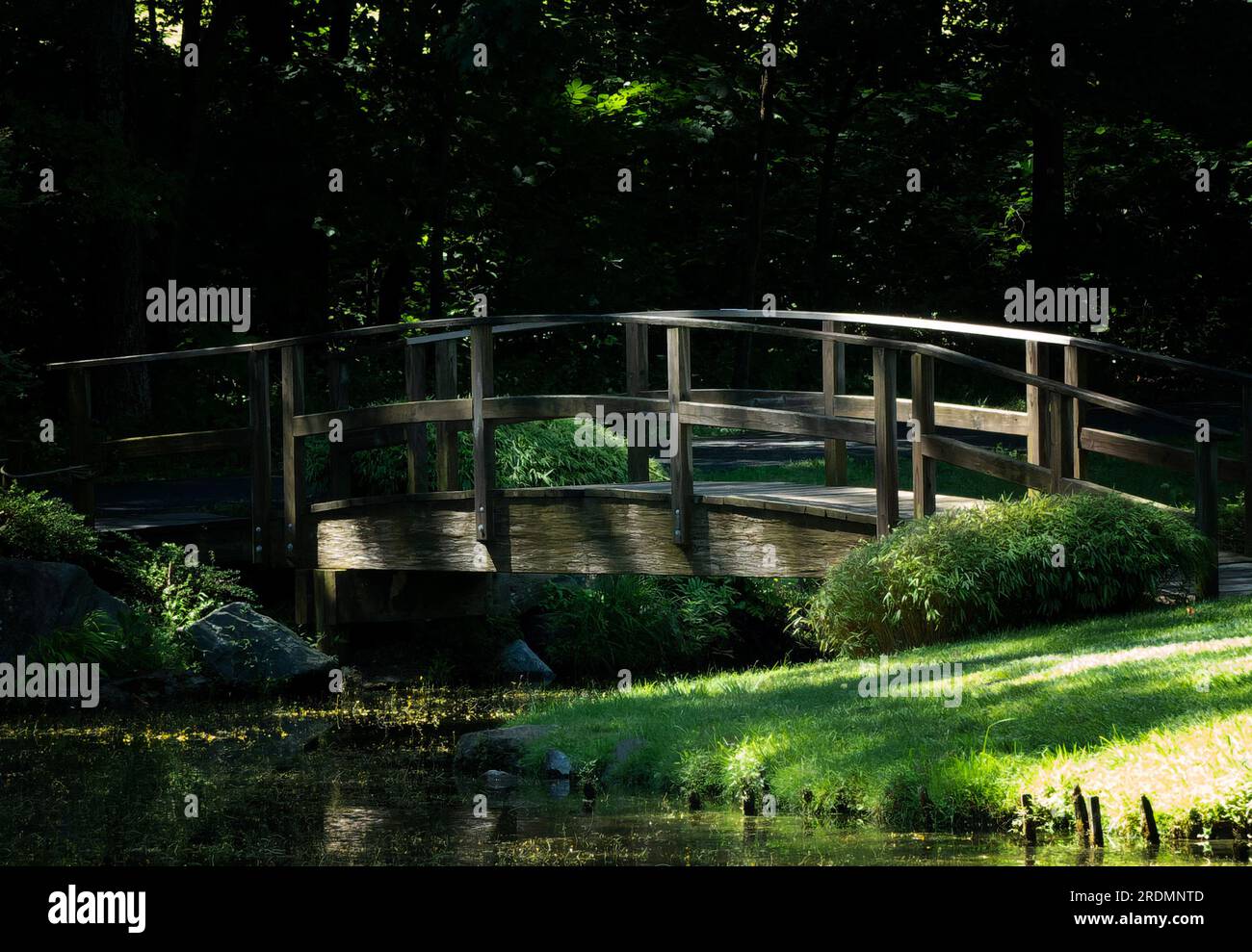 Pont de pied en bois dans la lumière du soleil tachetée Banque D'Images
