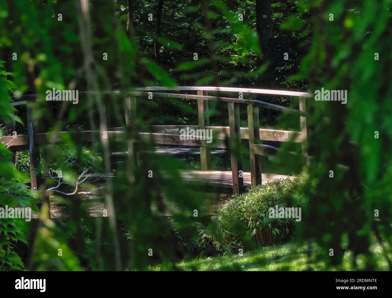 Pont de pied en bois dans la lumière du soleil tachetée Banque D'Images