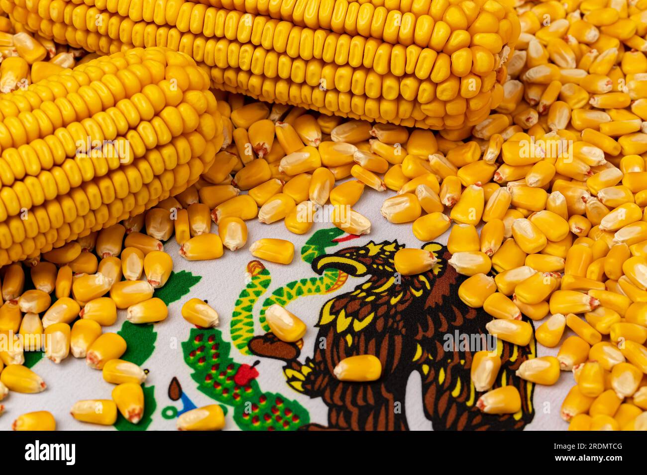 Drapeau du Mexique et grains de maïs. Commerce agricole interdiction des OGM, importation et exportation concept. Banque D'Images