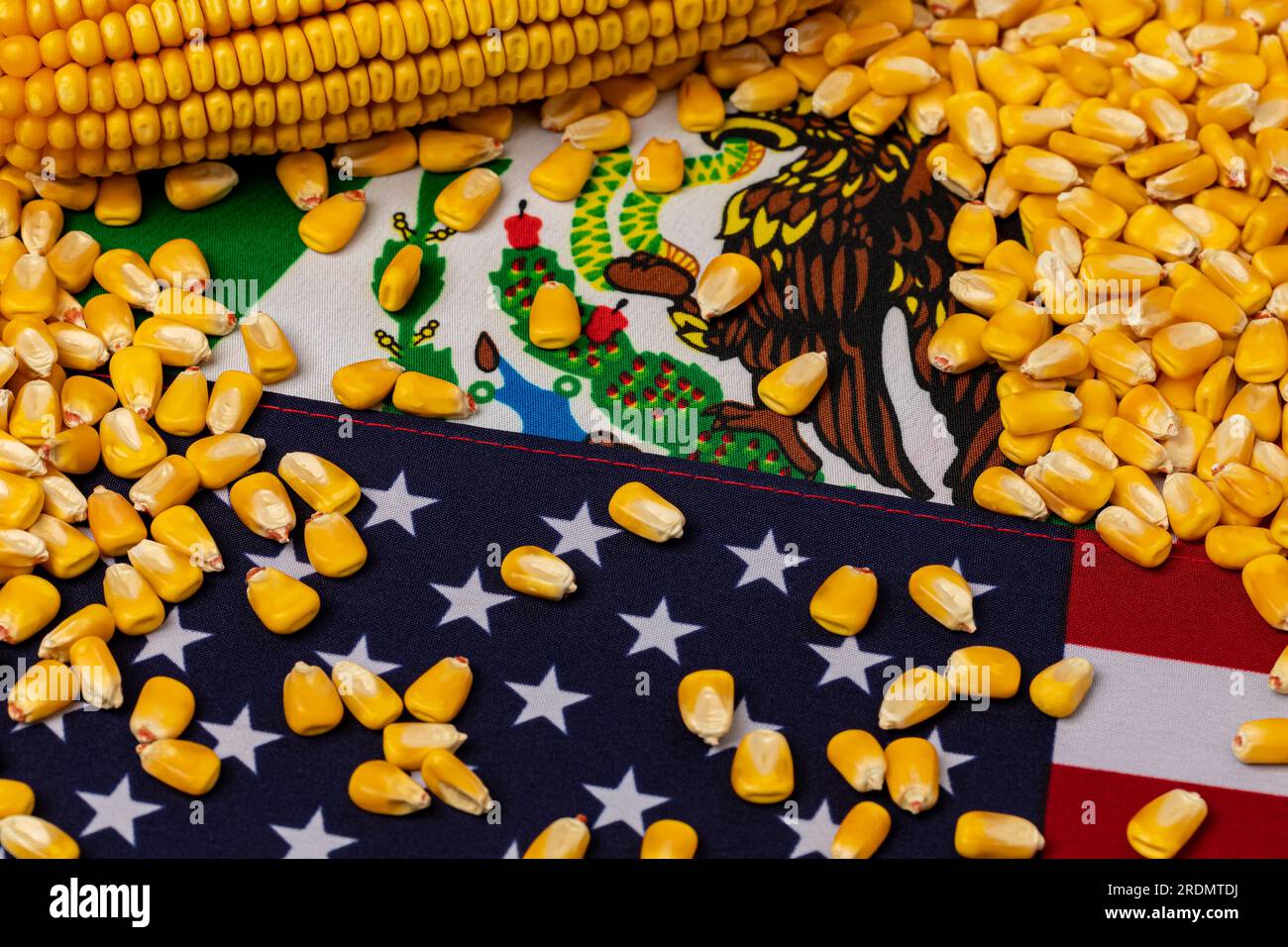 États-Unis d'Amérique, drapeaux du Mexique et grains de maïs. Commerce agricole, interdiction des OGM, concept d'importation et d'exportation. Banque D'Images