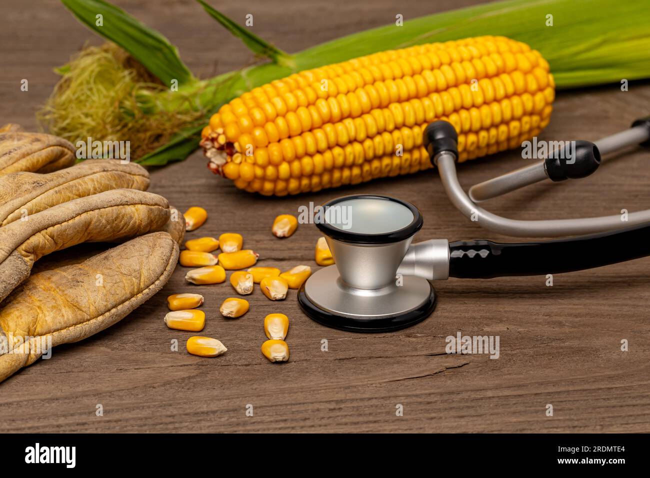 Stéthoscope avec gants de travail en cuir et maïs. Santé rurale, santé mentale des agriculteurs et concept de santé et de sécurité des travailleurs agricoles. Banque D'Images