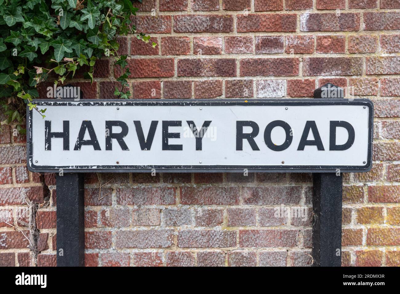 Harvey panneau routier dans le quartier Charlotteville de Guildford, nommé d'après William Harvey, le célèbre médecin, Surrey, Angleterre, Royaume-Uni Banque D'Images