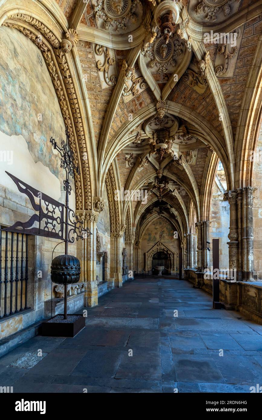Styles gothique et Renaissance dans le cloître de la cathédrale de Léon, Castille-Léon, Espagne. La cathédrale Santa María de Regla de Leon. Castilla León Banque D'Images