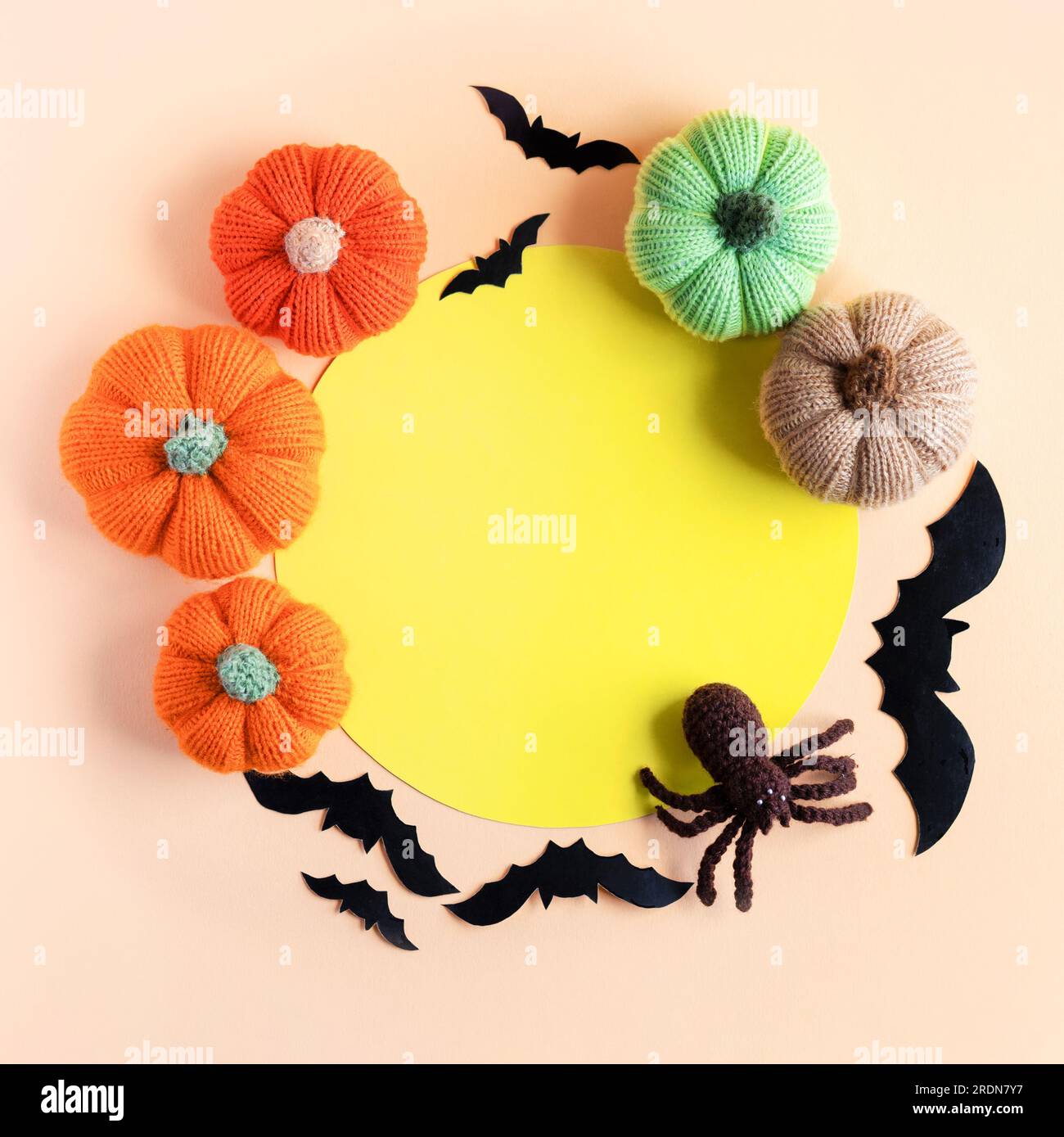 Composition de chauves-souris noires et d'araignée tricotée et de citrouilles avec place ronde blanche pour un texte inspirant et motivant. Concept Halloween. Maquette pour s. Banque D'Images
