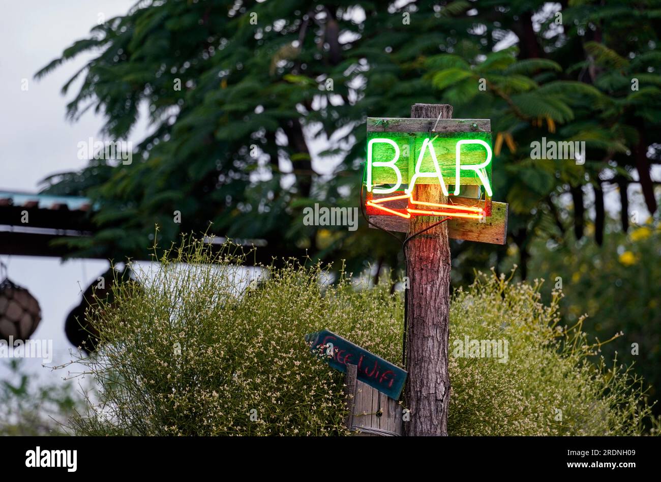 Panneau de bar à l'extérieur, entouré de verdure Banque D'Images