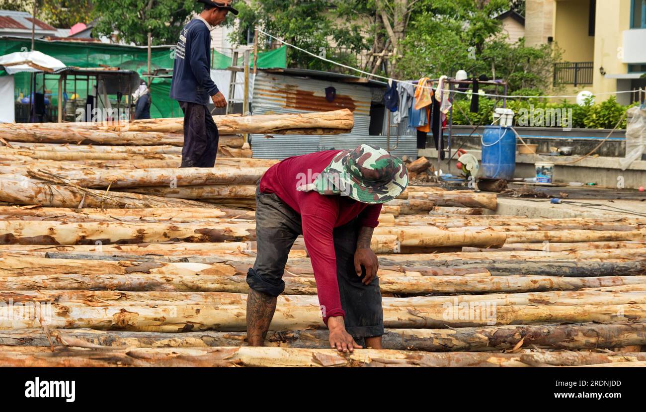 Thaïlande, Bangkok - 18 janvier 2020 : bois rond, ricker à la scierie, transformation du bois. Peut-être eucalyptus ou sycomore Banque D'Images