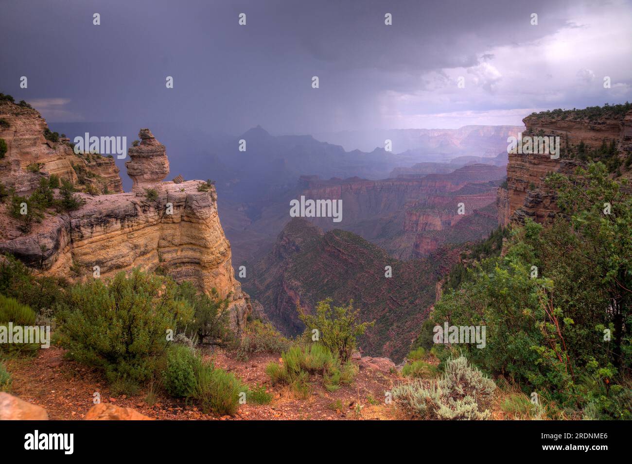 Grand Canyon en Arizona encadré par des affleurements et des plantes indigènes avec de lourds nuages et une tempête de pluie approche. Banque D'Images Grand Canyon en Arizona encadré par des affleurements et des plantes indigènes avec de lourds nuages et une tempête de pluie approche. Banque D'Images