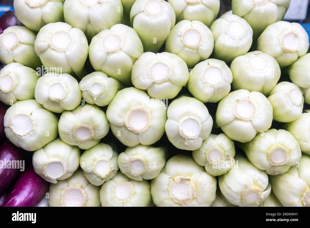 Bok choy disposé sur le comptoir, texture, motif - fond vert Banque D'Images