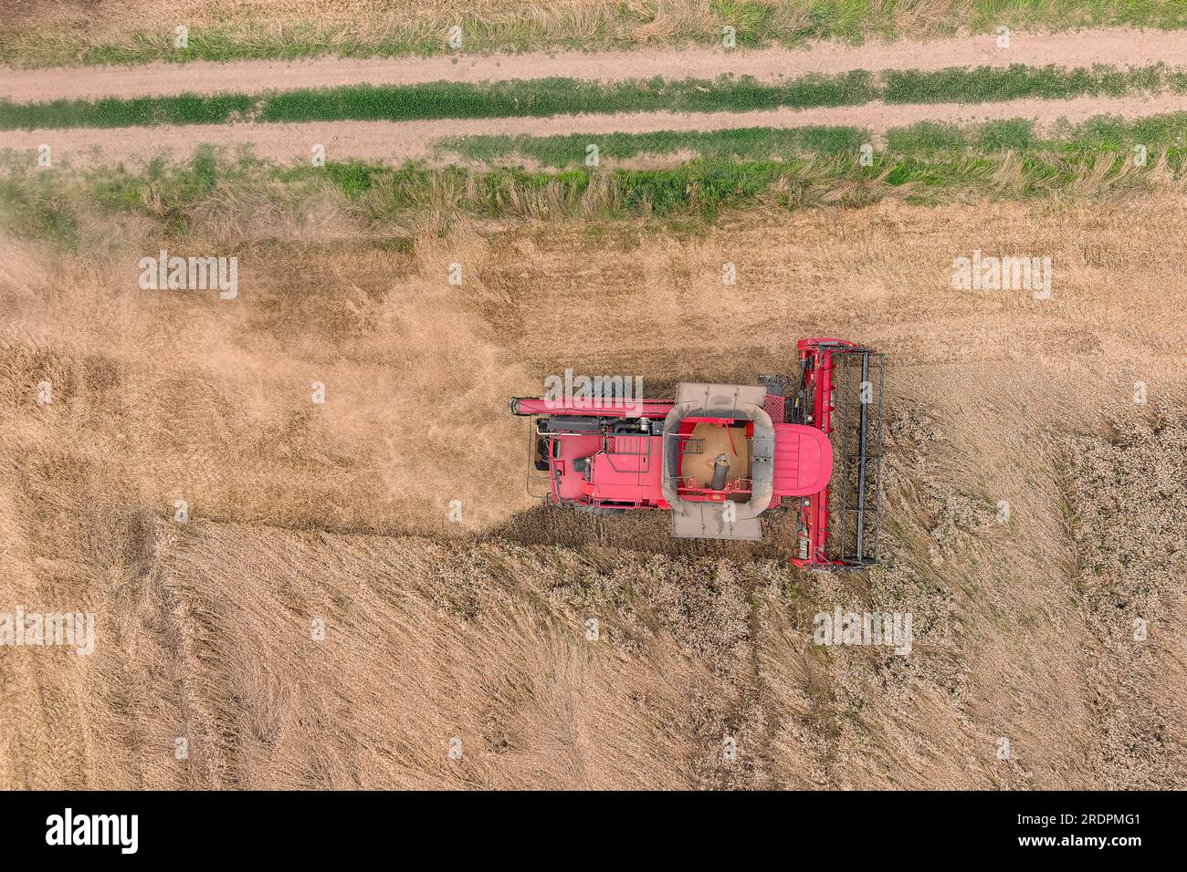 Vue aérienne drone, moissonneuses-batteuses travaillant dans le champ de blé Banque D'Images