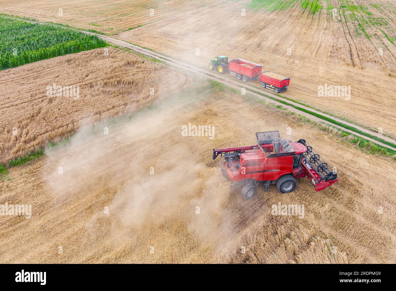 Machine de récolte pour le travail dans les champs de blé. Vue aérienne de l'agriculture Banque D'Images