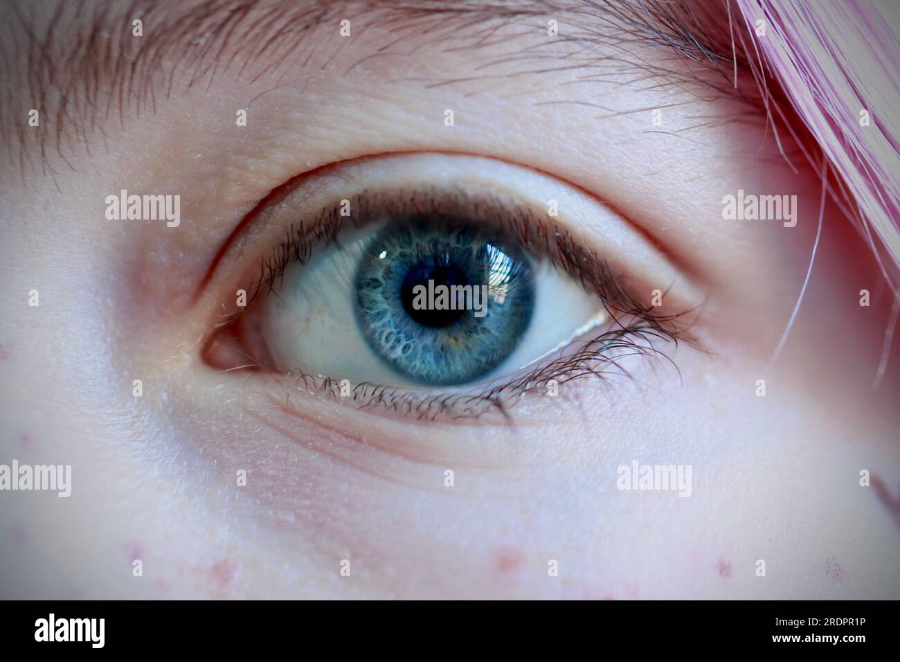 Gros plan de Woman's Eye Banque D'Images