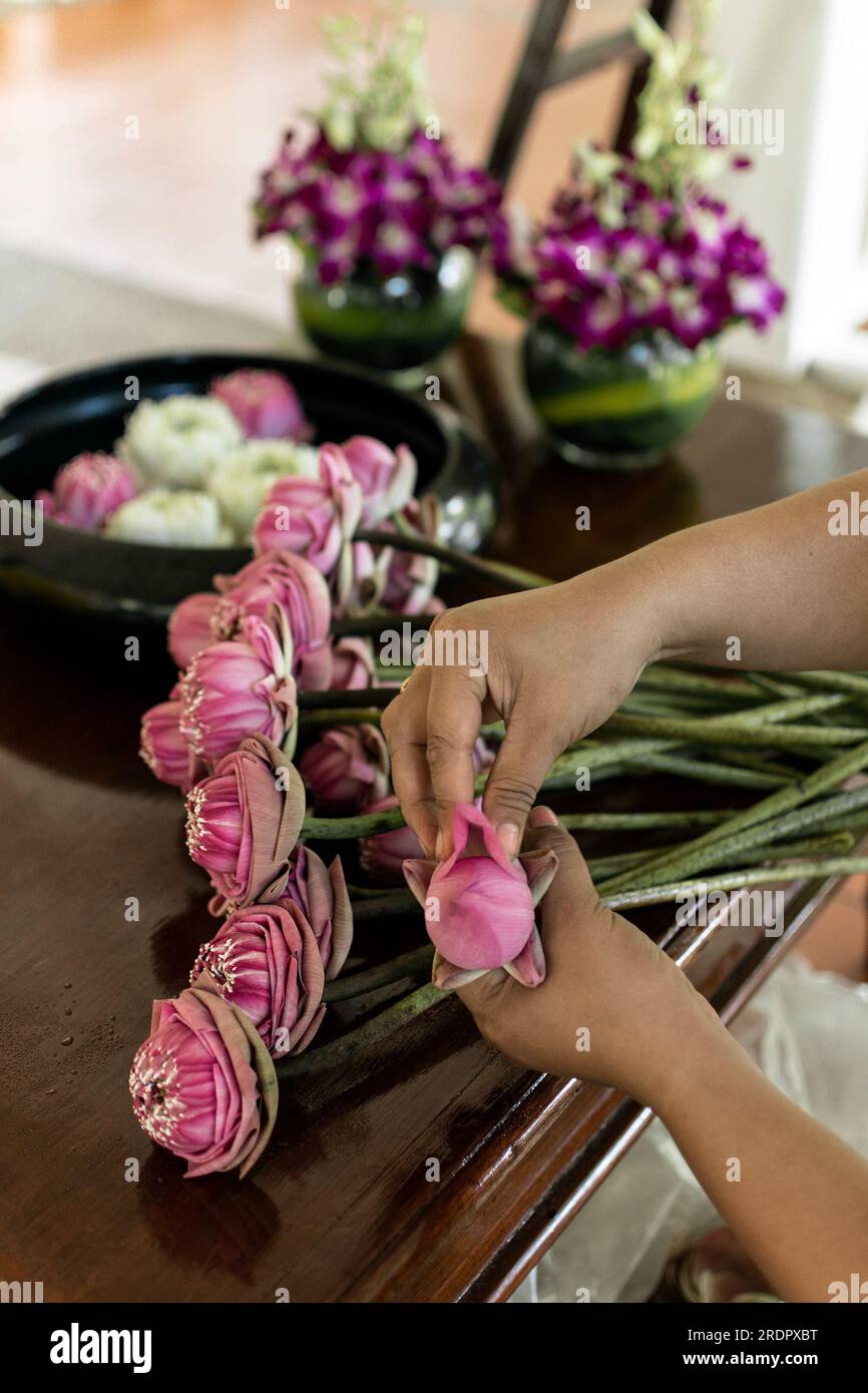 arrangement de fleurs traditionnelles de lotus blanc et rouge pliantes au cambodge Banque D'Images