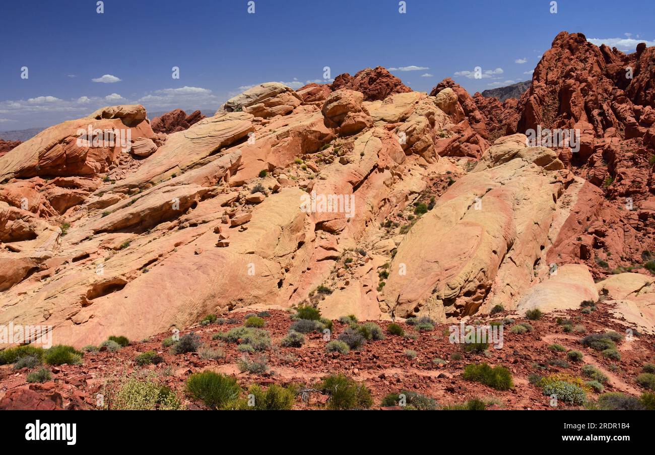 les spectaculaires formations rocheuses de grès érodées et le paysage désertique du parc d'état valley of fire, près d'overton, nevada Banque D'Images