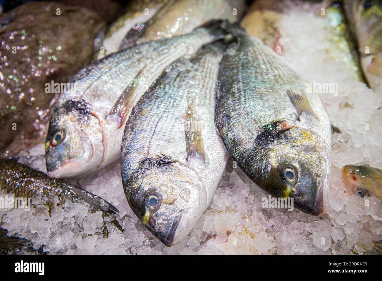 Dorade dorade sur glace au kiosque de fruits de mer au marché aux poissons Banque D'Images