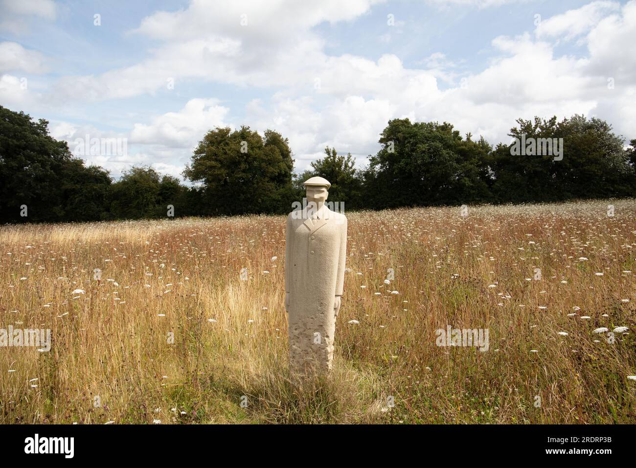 Centenaire Wood, Langley Vale, Surrey Banque D'Images