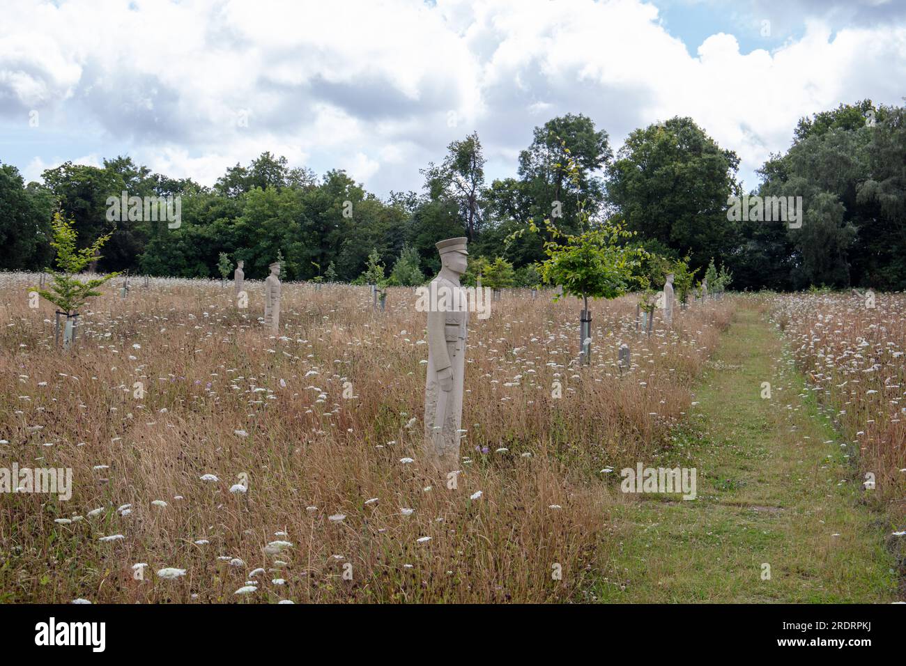 Centenaire Wood, Langley Vale, Surrey Banque D'Images