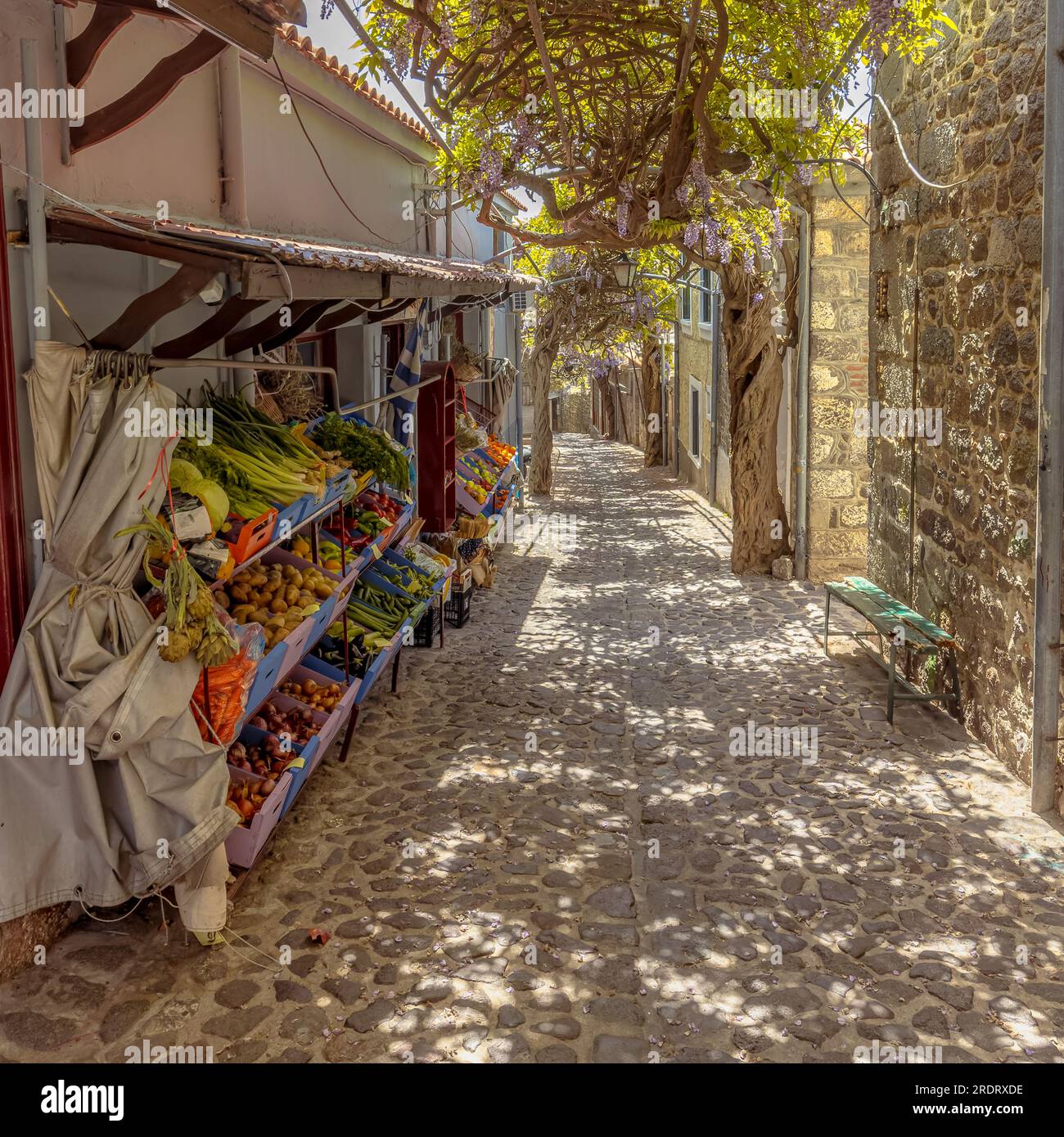 Stand de marché de légumes authentique sur l'île grecque de Lesbos. Vieille rue étroite du village à l'ombre d'énormes arbres Wisteria dans le règlement traditionnel. G Banque D'Images