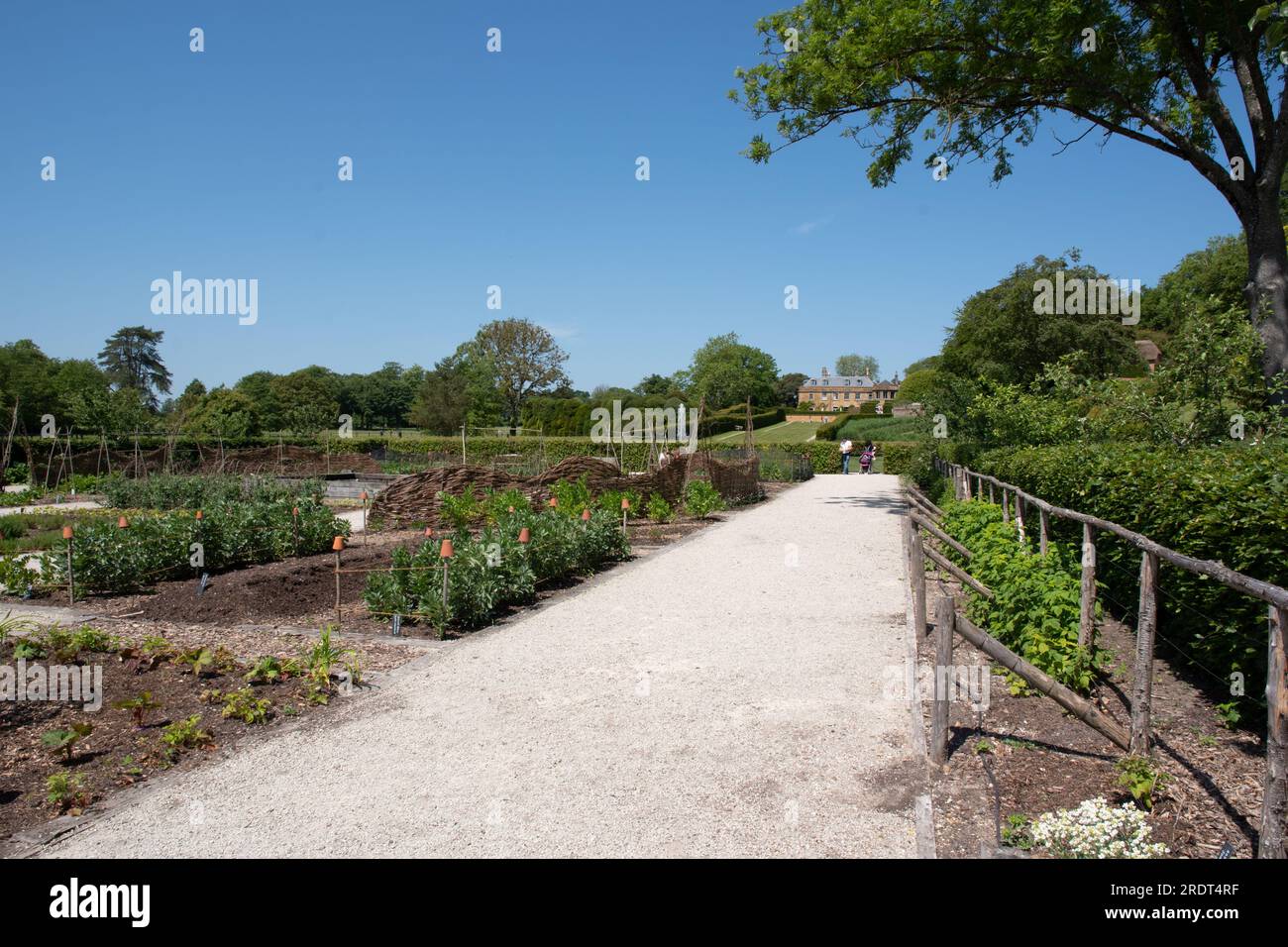 Hadspen House vue du jardin potager du Newt Somerset Banque D'Images