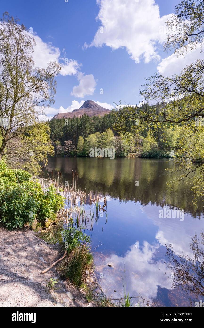 Glencoe Lochans Trail, sentiers boisés près de Ballachulish, Banque D'Images