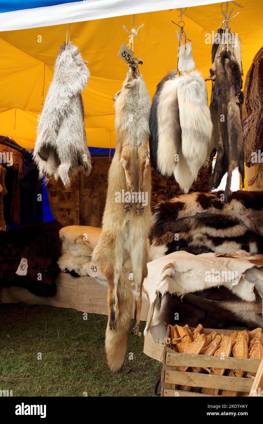 Stalle de marché avec peaux d'animaux à vendre, fourrure de renard, fourrure, peaux, Allemagne Banque D'Images