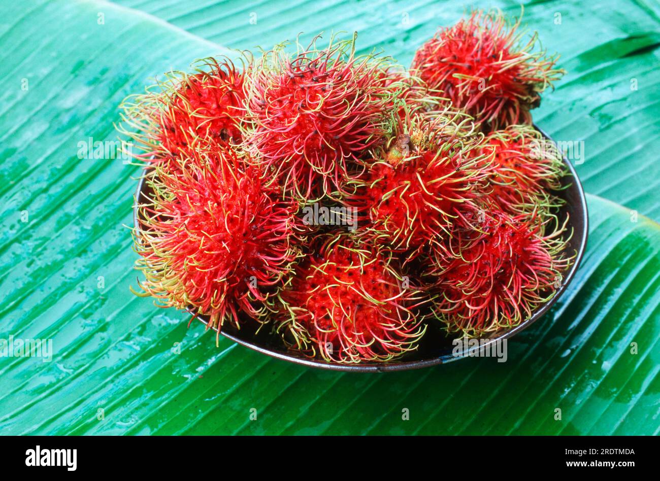 Ramboutan (Nephelium lappaceum) dans un bol Banque D'Images