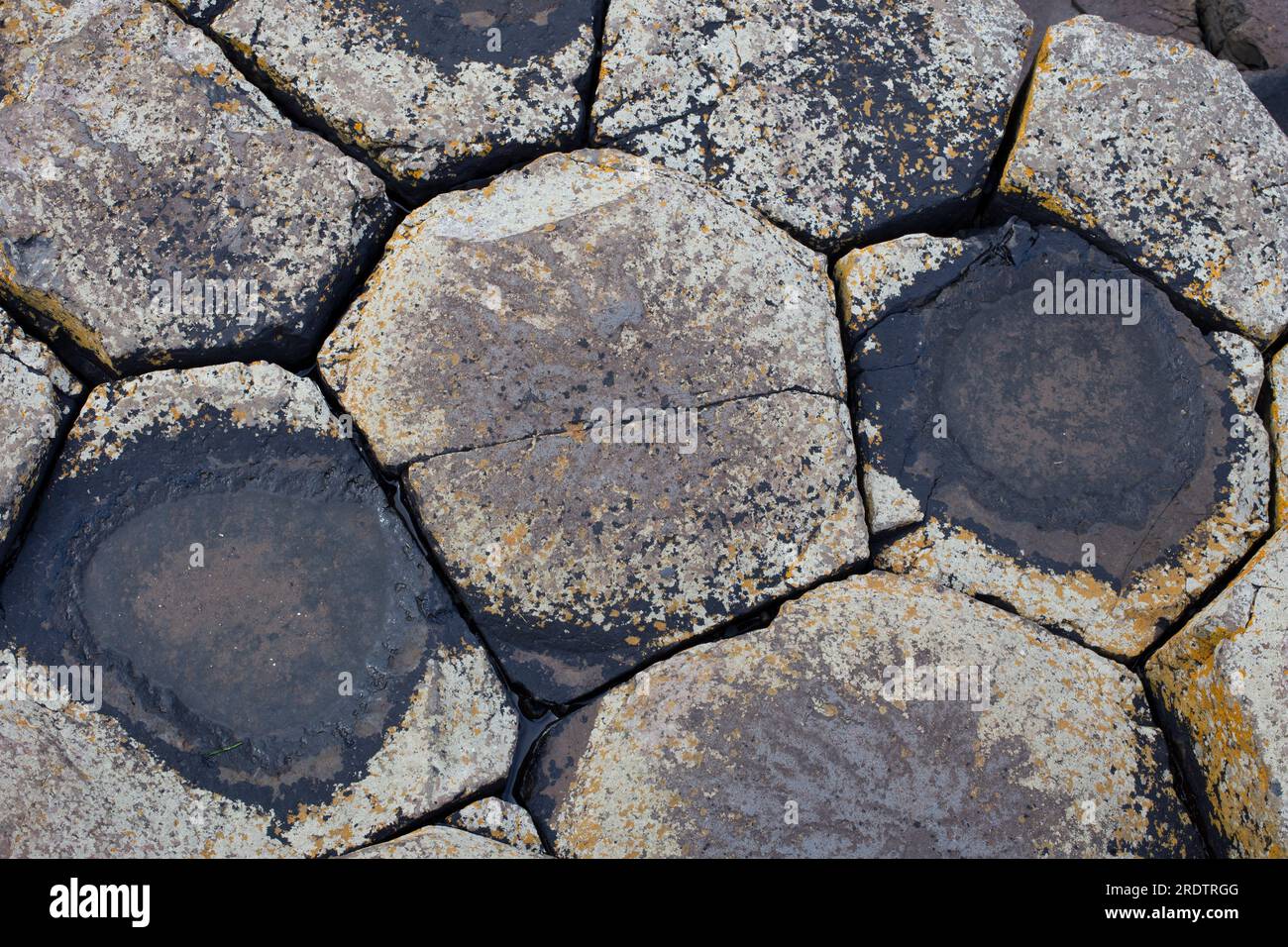 Giants Causeway Co Antrim N Irlande Banque D'Images