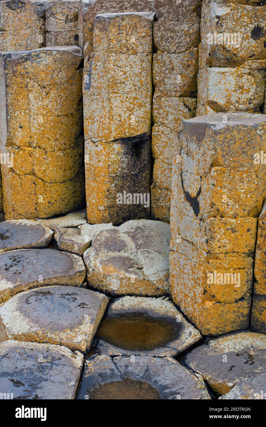 Giants Causeway Co Antrim N Irlande Banque D'Images