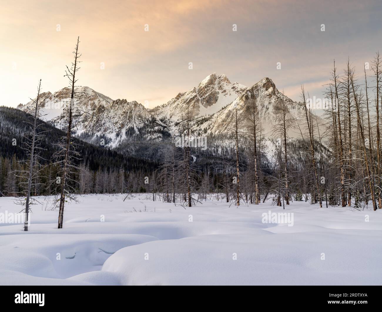 Montagne couverte de neige dans la nature sauvage de l'Idaho Banque D'Images