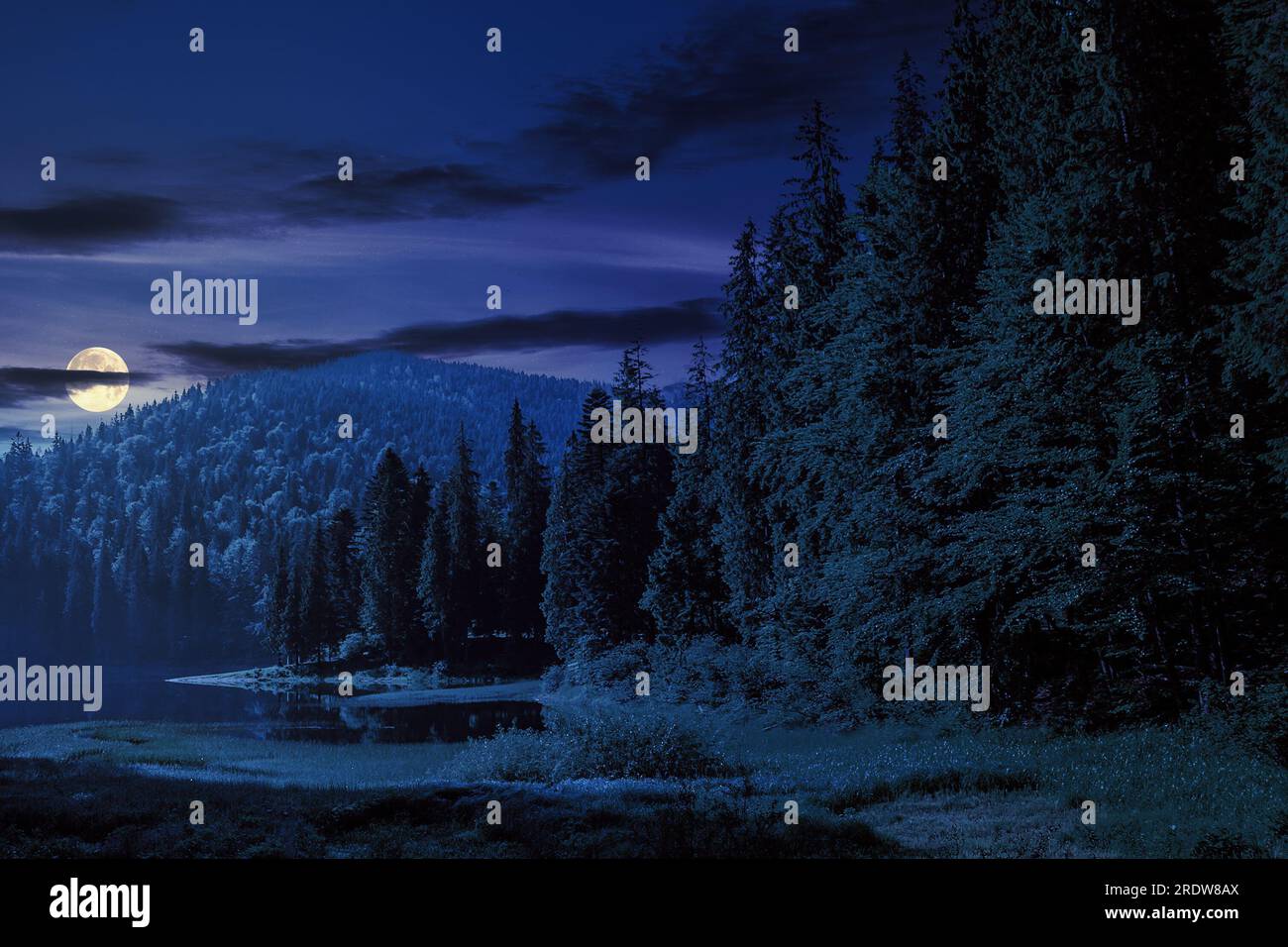 Lac dans les montagnes entouré d'une forêt de pins la nuit. beau paysage de campagne dans la lumière de la pleine lune Banque D'Images