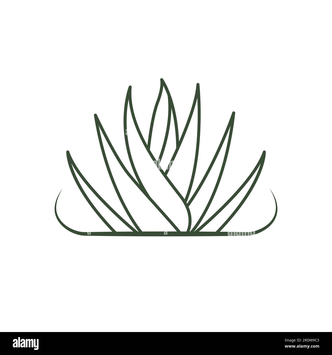 Conception d'icône vectorielle d'aloe vera. Logo biologique de feuilles de plantes. Illustration de Vecteur