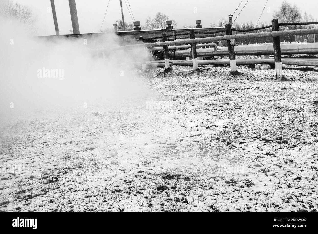 Râtelier à tuyaux avec tuyaux dans la vapeur haute pression surchauffée dans une usine chimique pétrochimique de raffinerie de pétrole. Banque D'Images