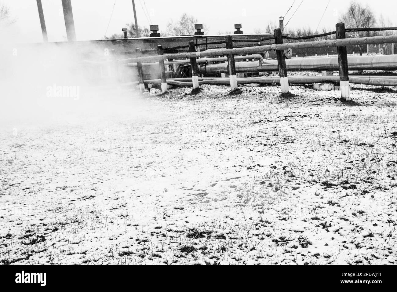 Râtelier à tuyaux avec tuyaux dans la vapeur haute pression surchauffée dans une usine chimique pétrochimique de raffinerie de pétrole. Banque D'Images