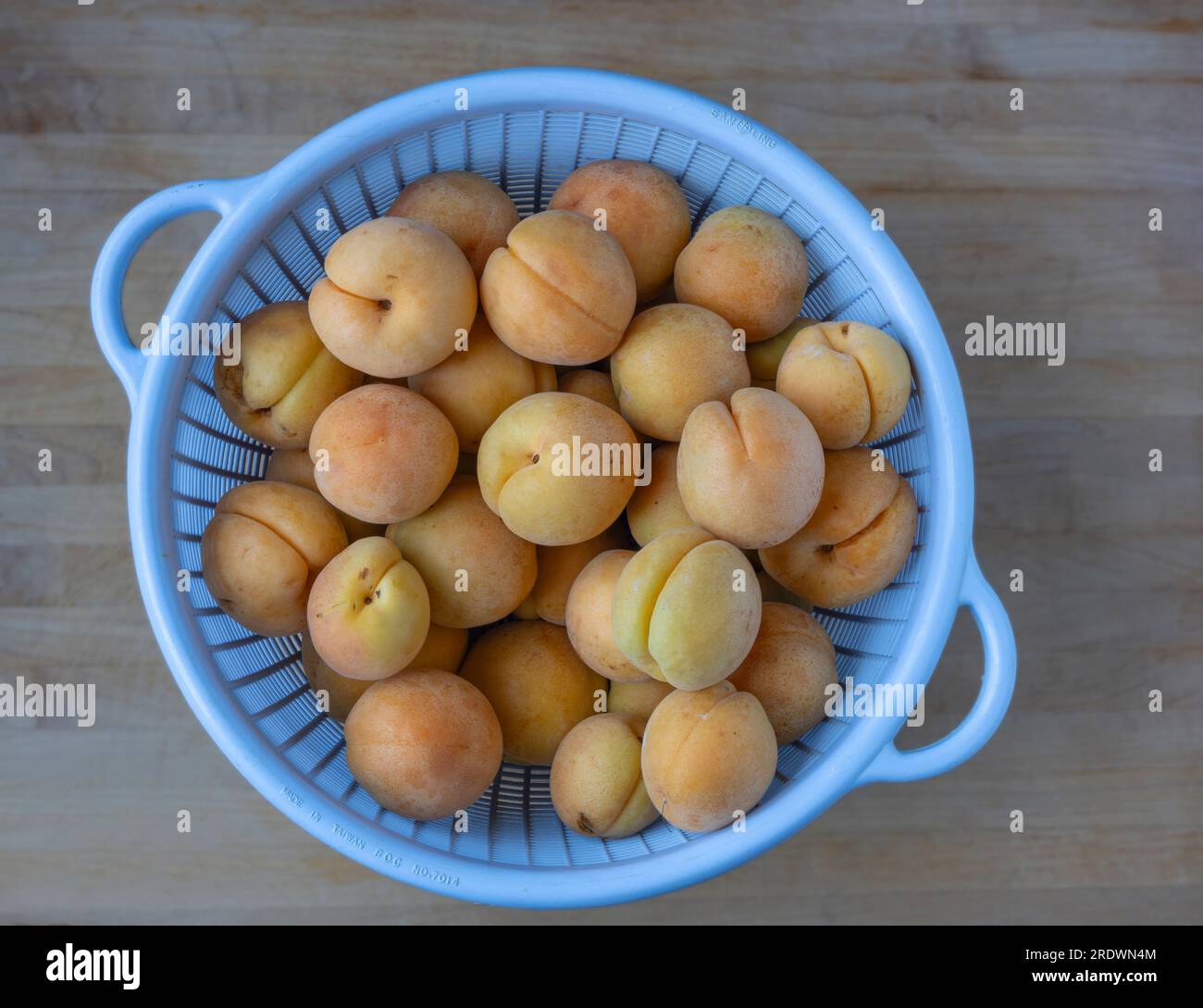 Abricots frais mûrs cultivés maison dans une passoire Banque D'Images