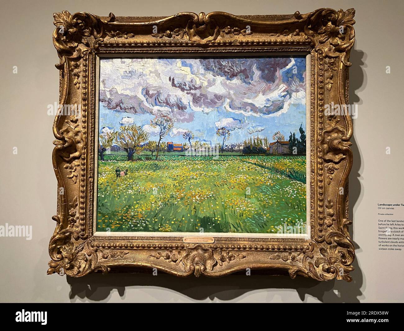 L'exposition du Metropolitan Museum of Art, « les cyprès de Van Gogh », est la première exposition consacrée aux arbres, parmi les plus célèbres de l'histoire de l'art. Paysage sous ciel turbulent, avril 1889, Vincent Van Gogh Banque D'Images