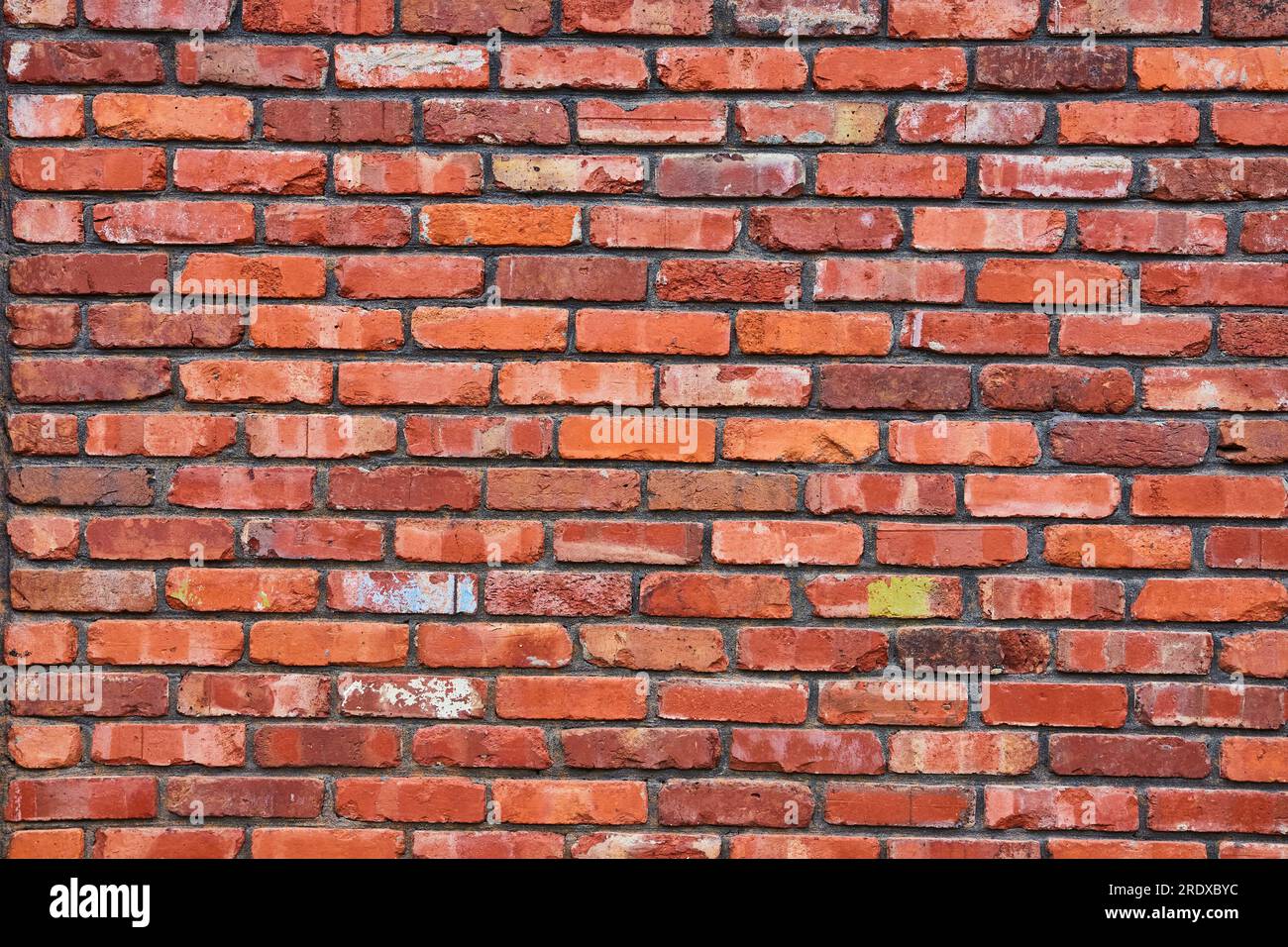 Beaucoup de briques rouges décolorées et écaillées sur le mur avec mortier assombrissant et éclaboussures de peinture bleue et blanche Banque D'Images